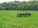 2010-05-09, Höfgen + Grimma (26)